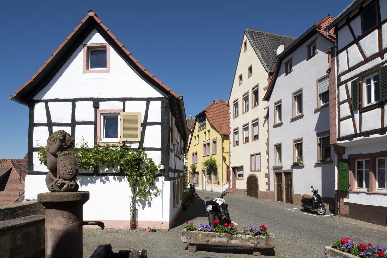 Burggarten Appartements Neuleiningen Екстер'єр фото