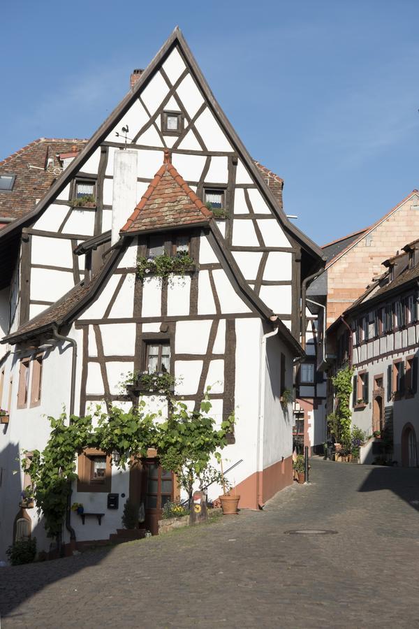 Burggarten Appartements Neuleiningen Екстер'єр фото