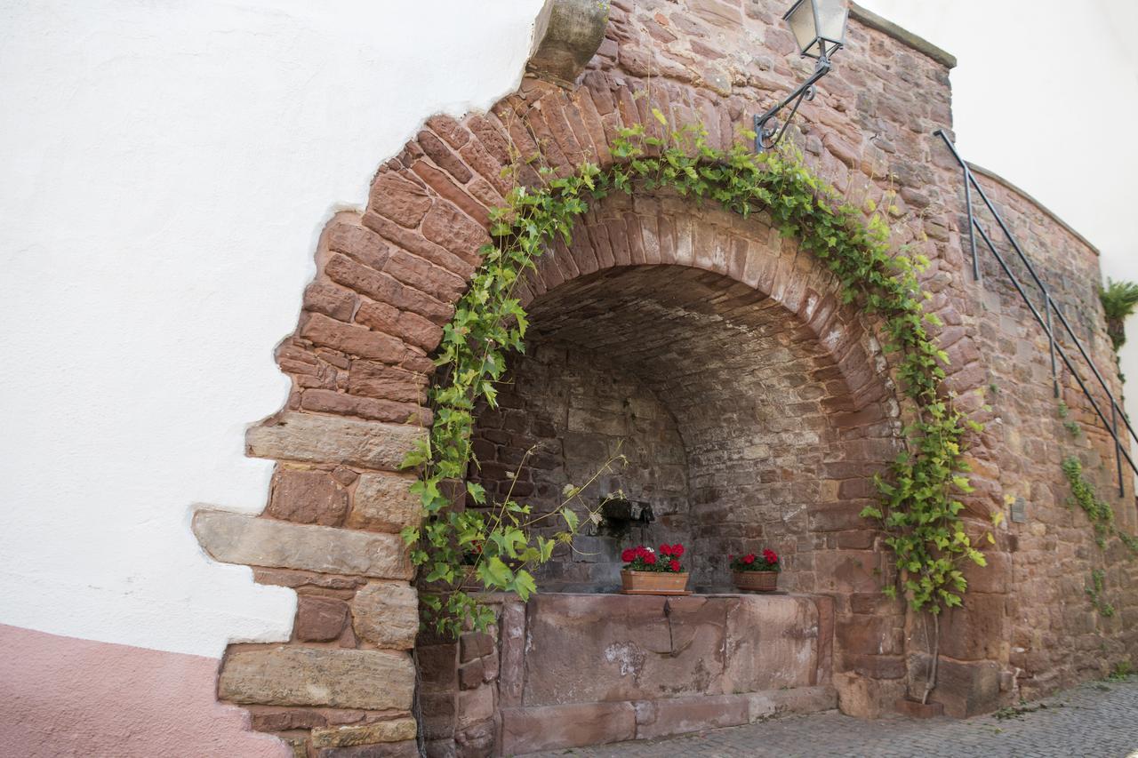 Burggarten Appartements Neuleiningen Екстер'єр фото