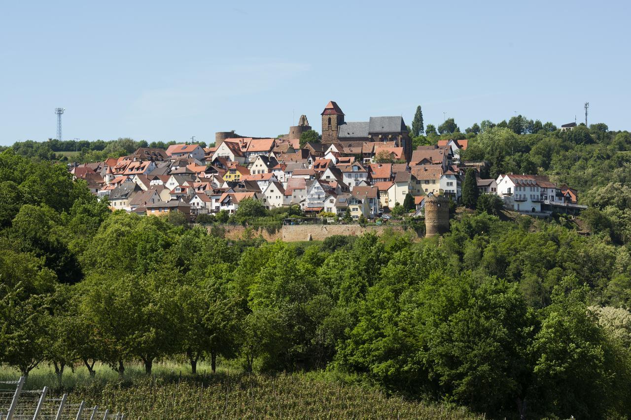 Burggarten Appartements Neuleiningen Екстер'єр фото