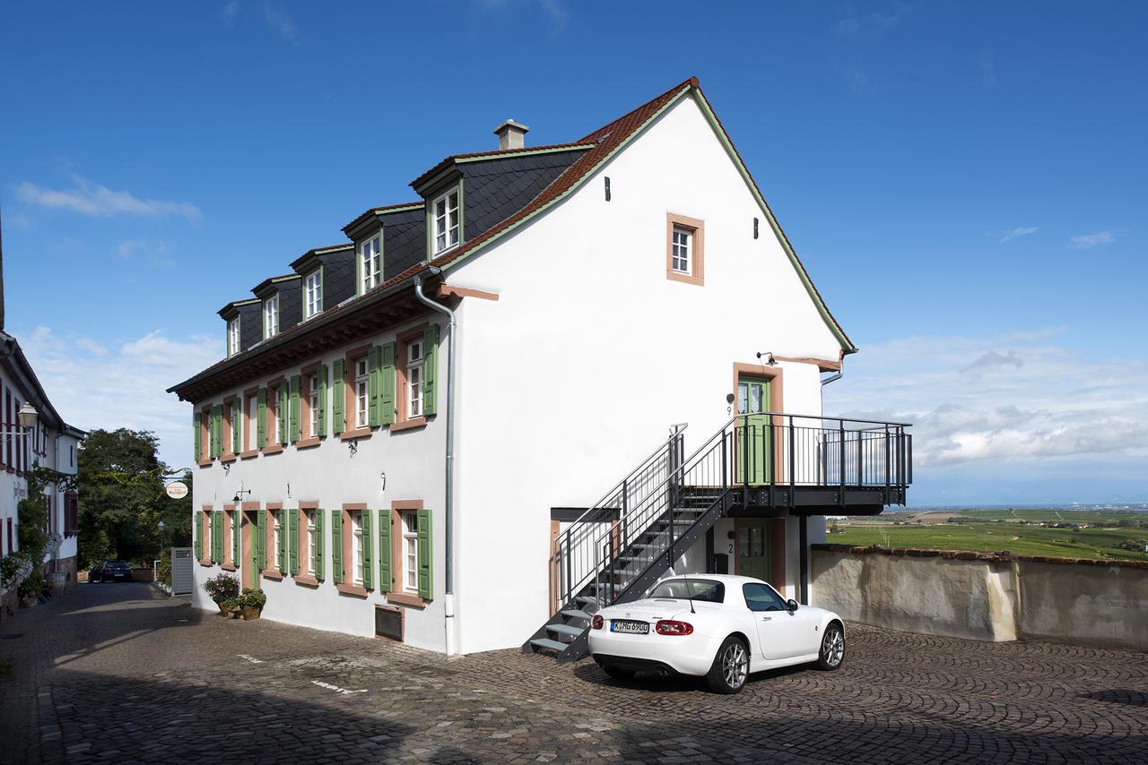 Burggarten Appartements Neuleiningen Екстер'єр фото