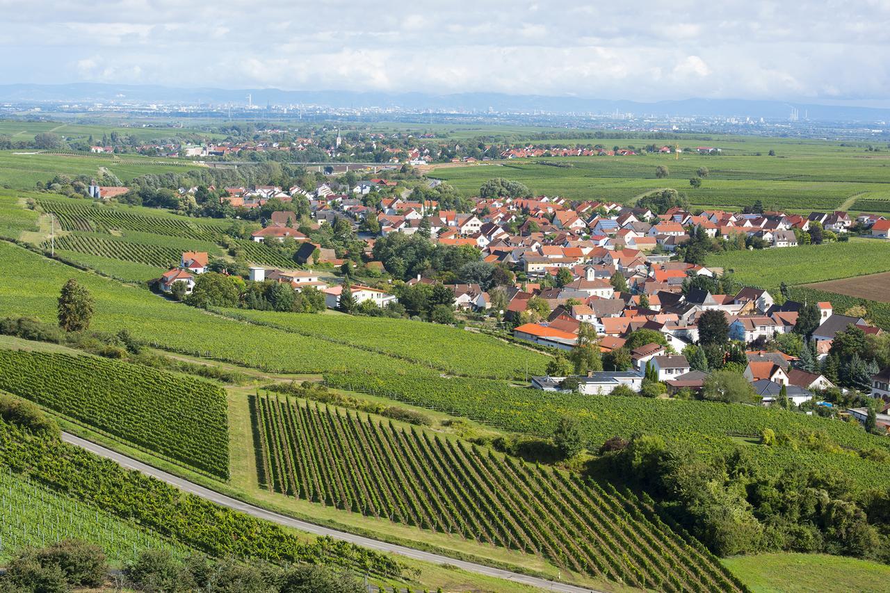 Burggarten Appartements Neuleiningen Екстер'єр фото