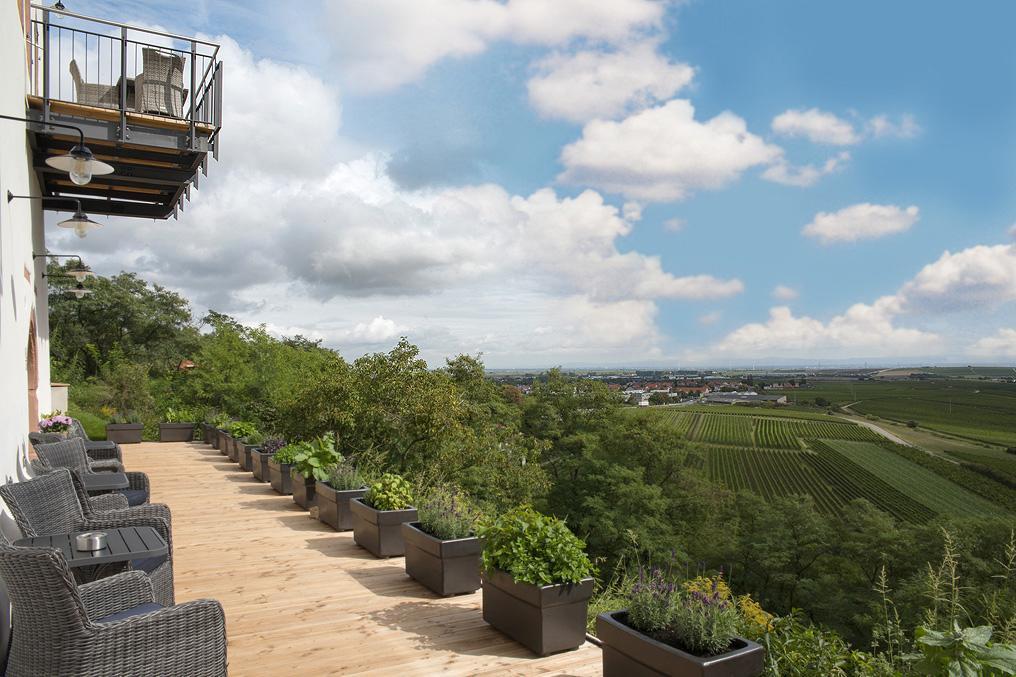 Burggarten Appartements Neuleiningen Екстер'єр фото